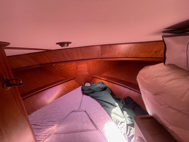 TRADER 41+2 Sundeck - Image 21